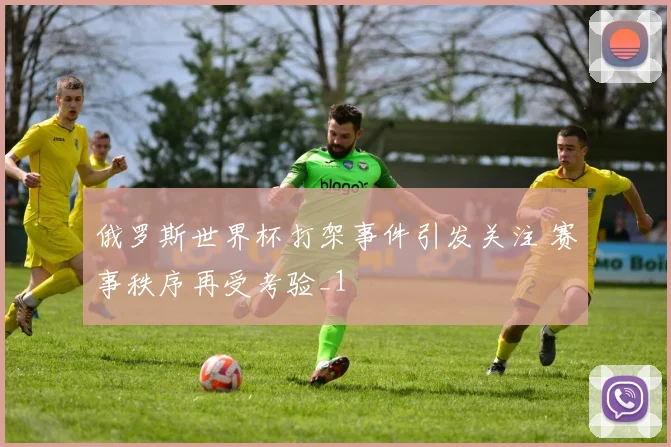 俄罗斯世界杯打架事件引发关注 赛事秩序再受考验_1