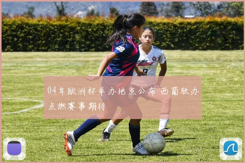 04年欧洲杯举办地点公布 西葡联办点燃赛事期待