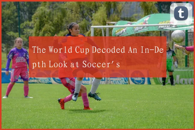 The World Cup Decoded An In-Depth Look at Soccer's