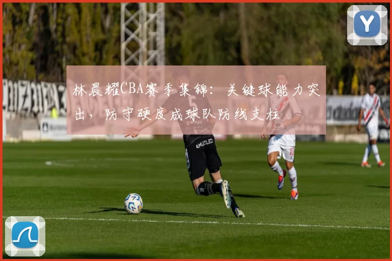 林晨耀CBA赛季集锦：关键球能力突出，防守硬度成球队防线支柱