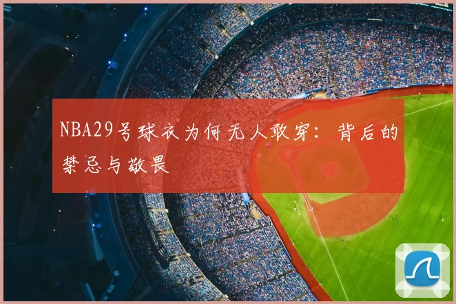 NBA29号球衣为何无人敢穿：背后的禁忌与敬畏