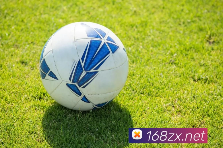 星空体育官方链接平台生态图