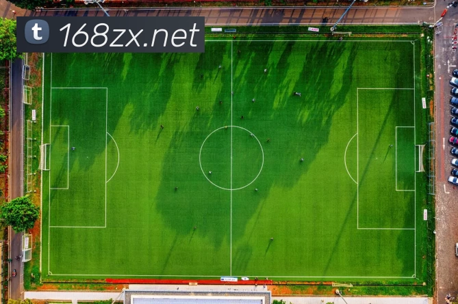 星空体育官方链接全站App